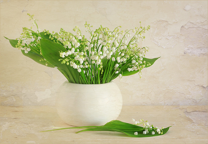 猫咪可以吃的和不可以吃的有什么,猫咪可以吃什么甜的