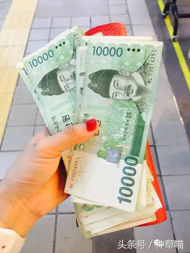 老司机带路买车不迷茫,老司机带路游广州