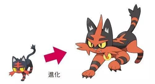 口袋妖怪日月哪些厉害,口袋妖怪日月篇好不好看