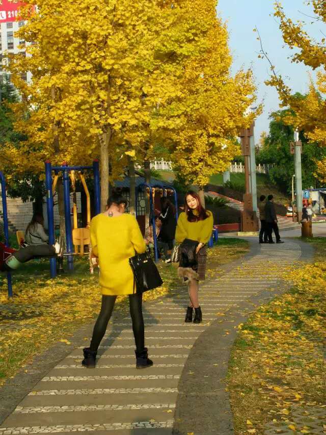 汉中美在何处,汉中算是全中国最漂亮的地方