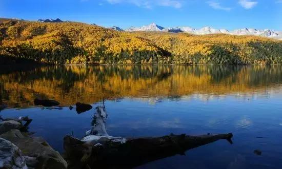 四川三个赏秋绝妙地,四川秋天最美的7个地方