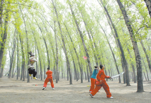 为什么你越练功身体素质越差？练功十忌，没有师父的朋友们一定要