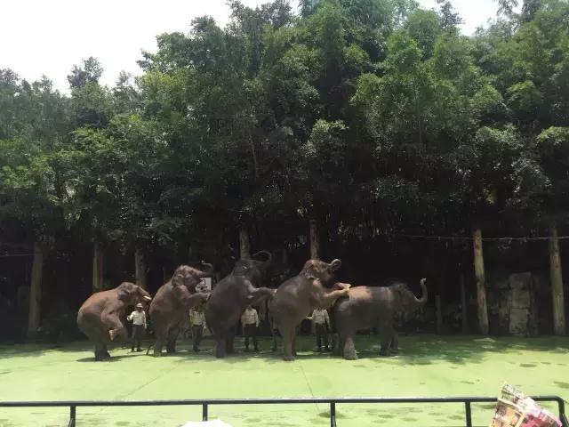 如何带孩子做旅行攻略,怎样带着孩子一起去旅行