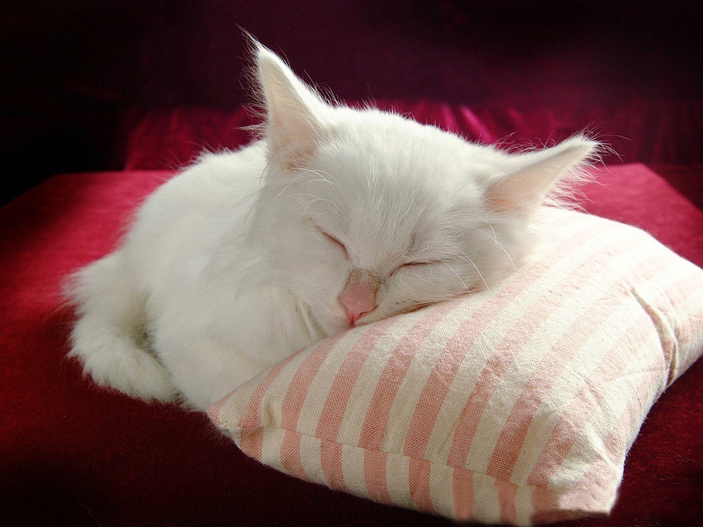 普通感冒需要抗生素治疗吗,普通感冒有必要吃药吗