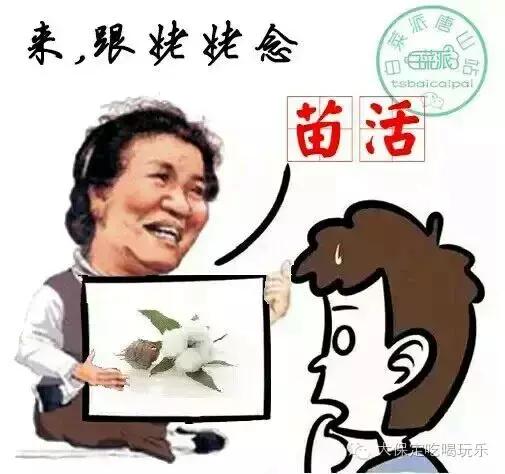 保定话方言,保定方言都有什么特点