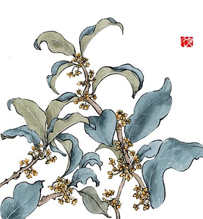 《唯有丹桂飘香八月馥郁芬芳》我，想你了荼蘼花事春已了