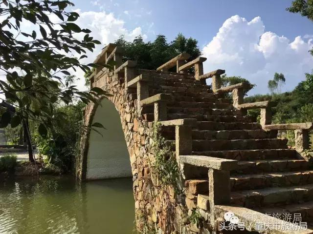 肇庆最新重磅消息,广东肇庆新消息