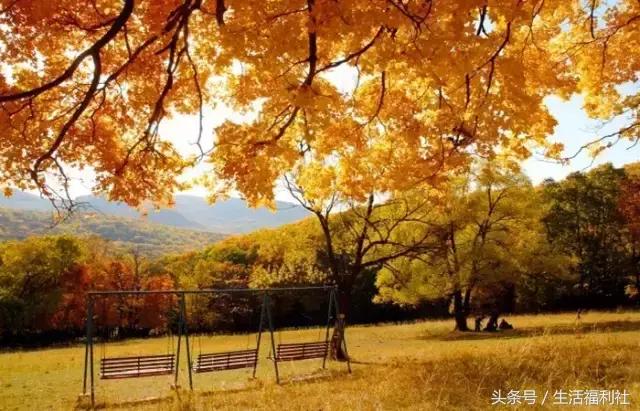 最能代表哈尔滨的图,哈尔滨城市形象符号