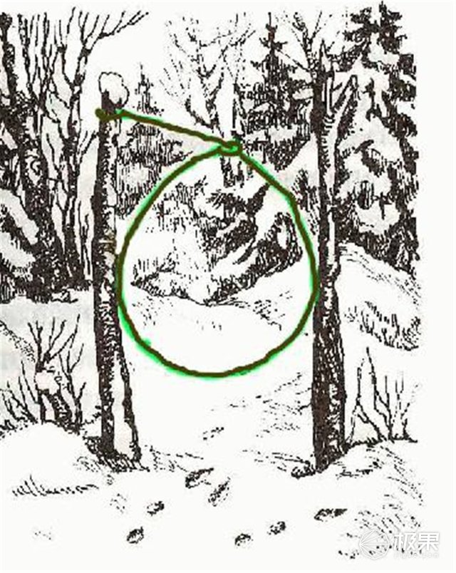 这盒子还没手掌大，里面的工具却比工具箱还全，野外保命全靠它