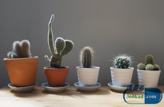 治好手足癣就这么简单!只需1个小偏方