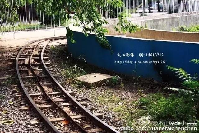 看看天津的图片,70年代天津河西老照片图库