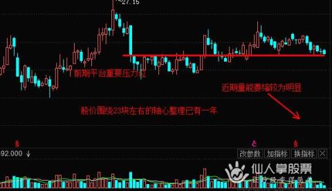一只具备中长线配置价值的IP个股