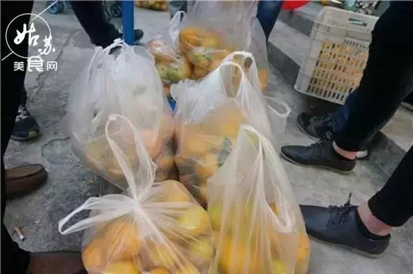 秋天就该送自己一场旅行，苏州最全“采橘攻略”先给你！