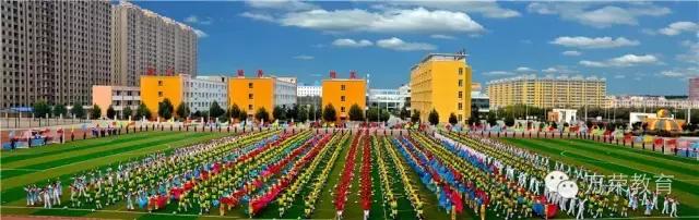 少年强则中国强联欢晚会,少年强则中国强运动会视频