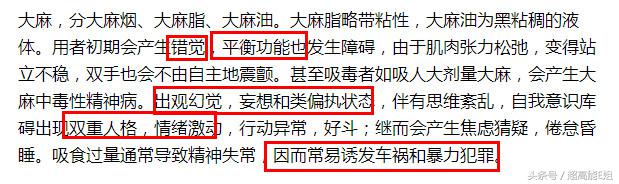 宋冬野没把“飞叶子”当回事，然而*麻大**真的不会对身体有危害吗？