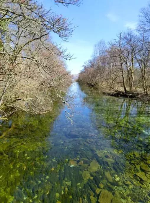英国留学假期一览表,英国留学怎样才能留在英国