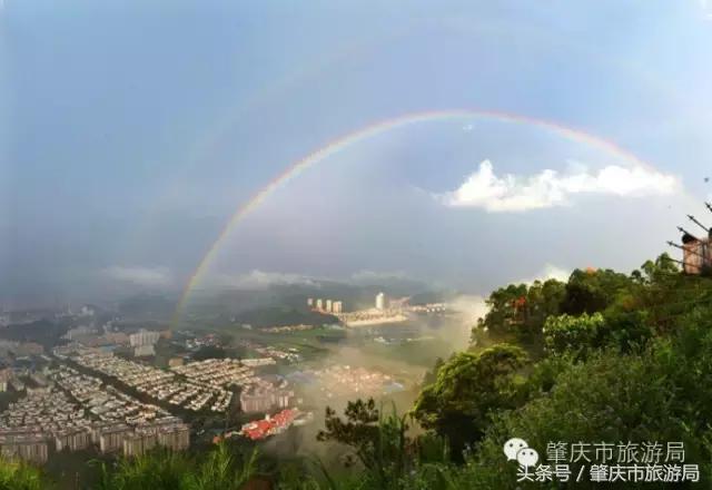 肇庆最新重磅消息,广东肇庆新消息