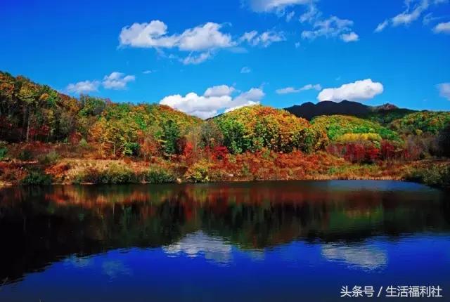 最能代表哈尔滨的图,哈尔滨城市形象符号