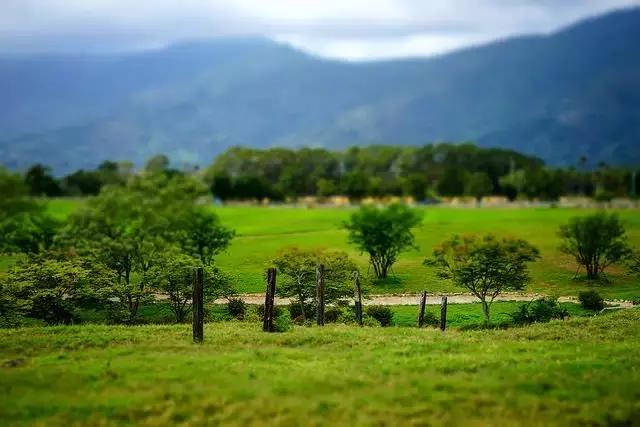 台湾初鹿牧场,台湾初鹿牧场在哪里