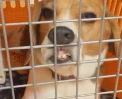 功夫足球可以在真正赛场用吗,功夫足球里各个球员都是什么功夫