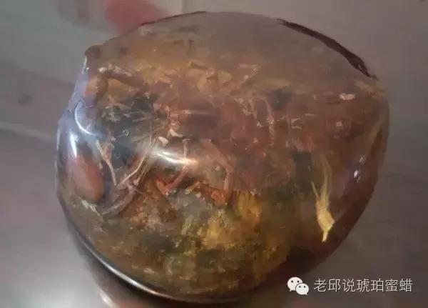 鎭掑疄鑰侀偙,鎭掑疄鐞ョ弨鑰侀偙鐩存挱