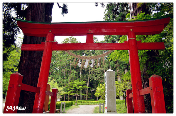 日本商务签证找谁办理,2021日本商务签证入境