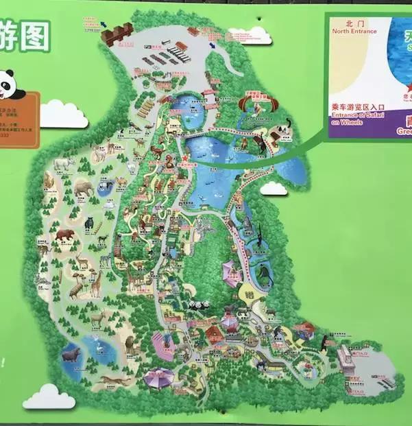 如何带孩子做旅行攻略,怎样带着孩子一起去旅行