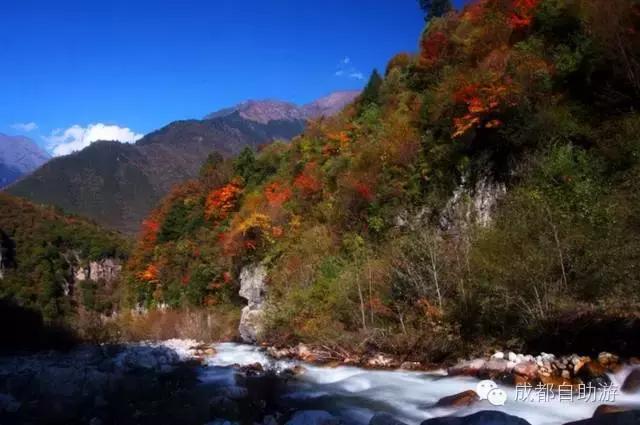 成都周边半小时车程左右看秋景,离成都200公里内景区