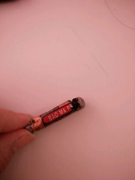 真没见过比熊这么撕家、不爱干净的，蓝瘦香菇想吃狗肉~