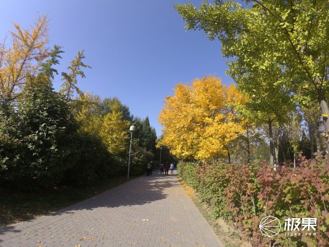 佳明运动相机virbultra30防抖吗,佳明virbultra30运动相机