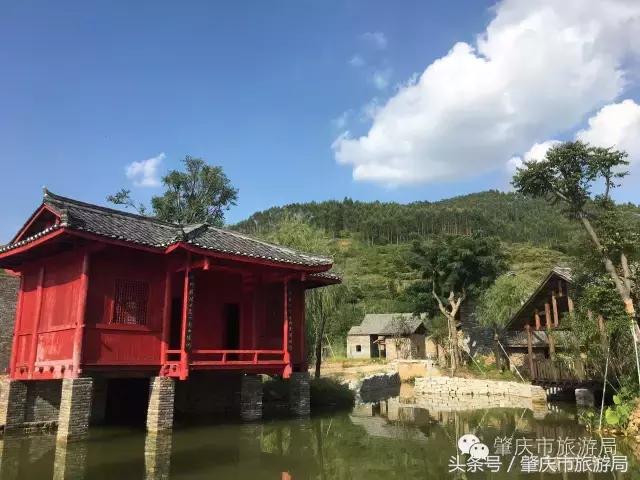 肇庆最新重磅消息,广东肇庆新消息