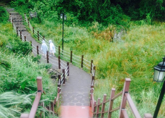 济州岛沉浸式体验,济州岛体验韩妆