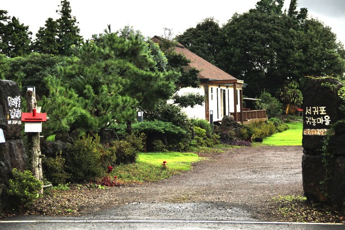 济州岛沉浸式体验,济州岛体验韩妆