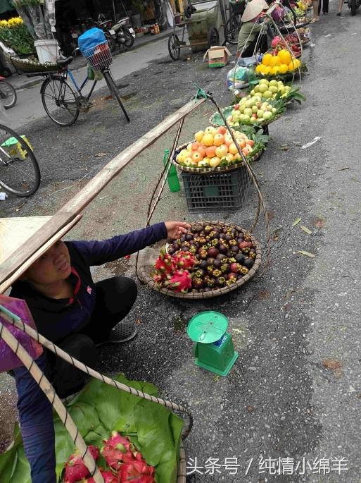 从南走到北有滋有味,从南到北有趣的灵魂