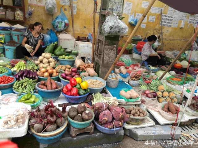 从南走到北有滋有味,从南到北有趣的灵魂