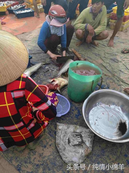 从南走到北有滋有味,从南到北有趣的灵魂