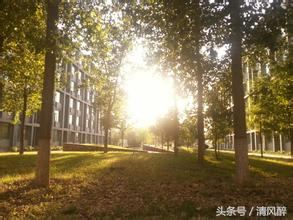 描写校园的优美句子,校园夕阳西下的唯美句子