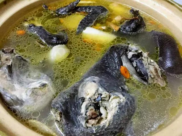 曝光！自贡的这些鸡店，竟然每晚接客接到腿软