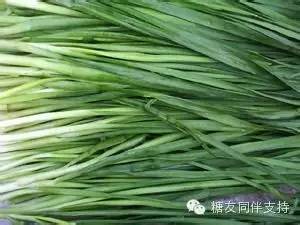 糖尿病友预防肾病，听台湾卫都师的建议