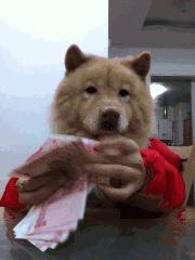 姑娘休要淘气了，谨慎老师找你谈话