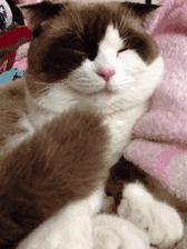 姑娘休要淘气了，谨慎老师找你谈话