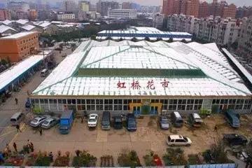 谁做的这本上海生活指南？老结棍了！走遍上海不用愁！