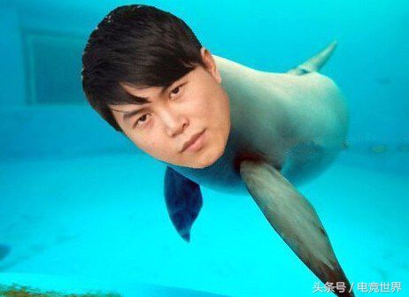 斗鱼一姐排行榜,斗鱼平台一哥