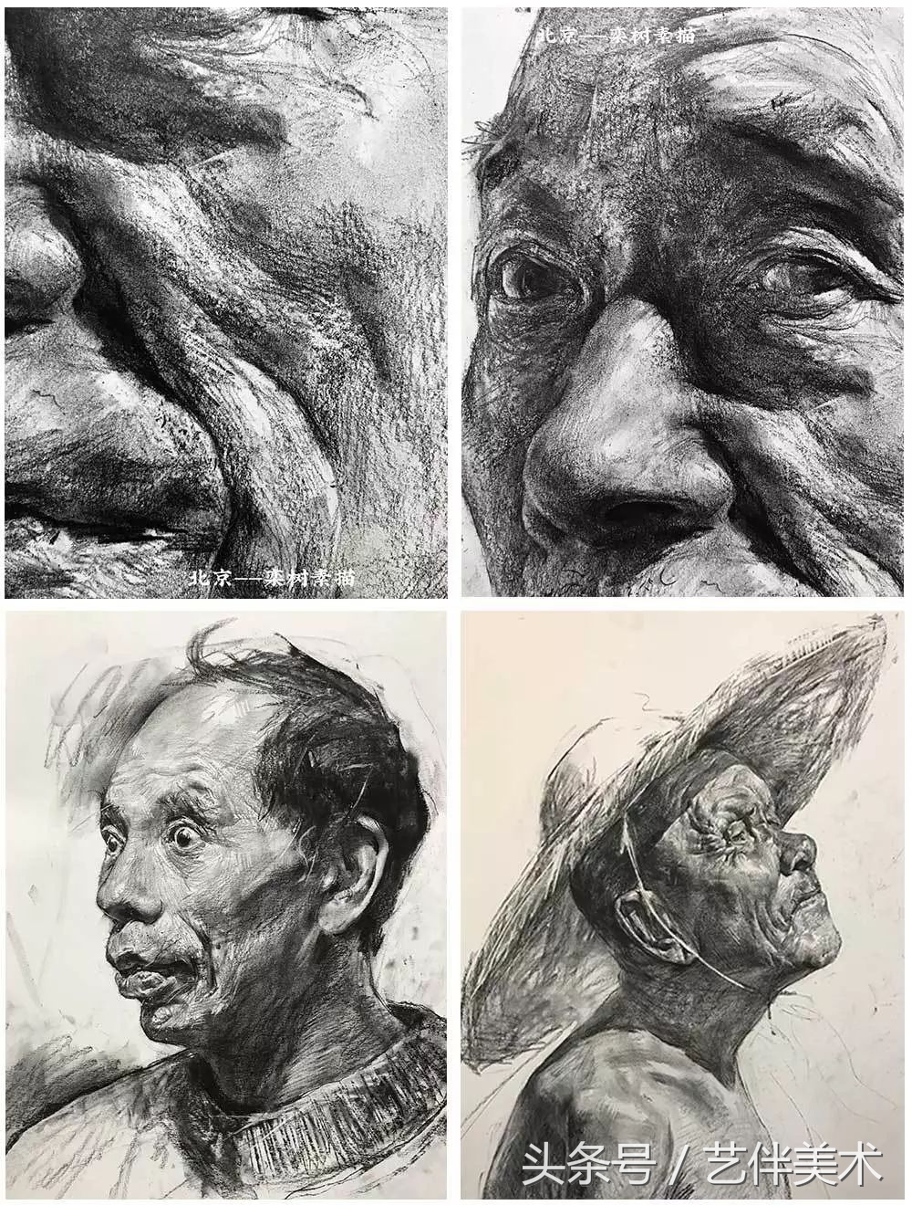 栾树画室地址在哪里,栾树画室学费