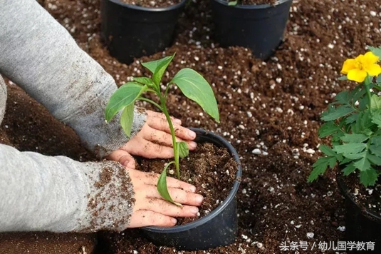 口水中的“读经教育”，结果呢？