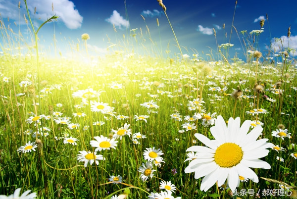 剧烈运动后为什么会出现荨麻疹,一运动就起荨麻疹是什么原因