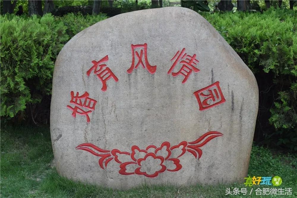 老合肥杏花公园,合肥曾经有两个杏花公园