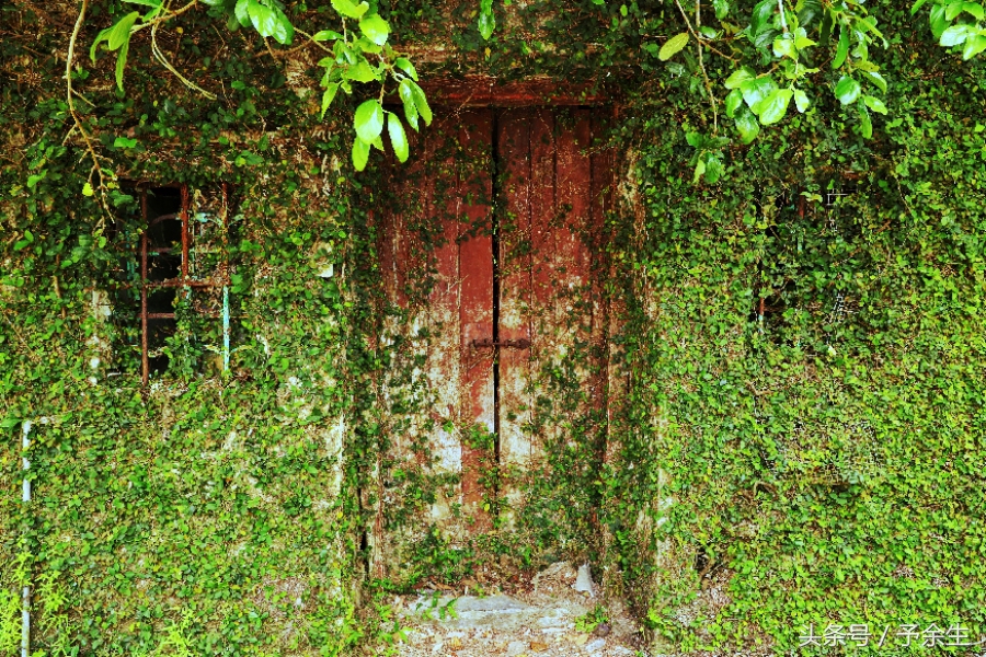 行麦径风景时宿轻沙绵风中