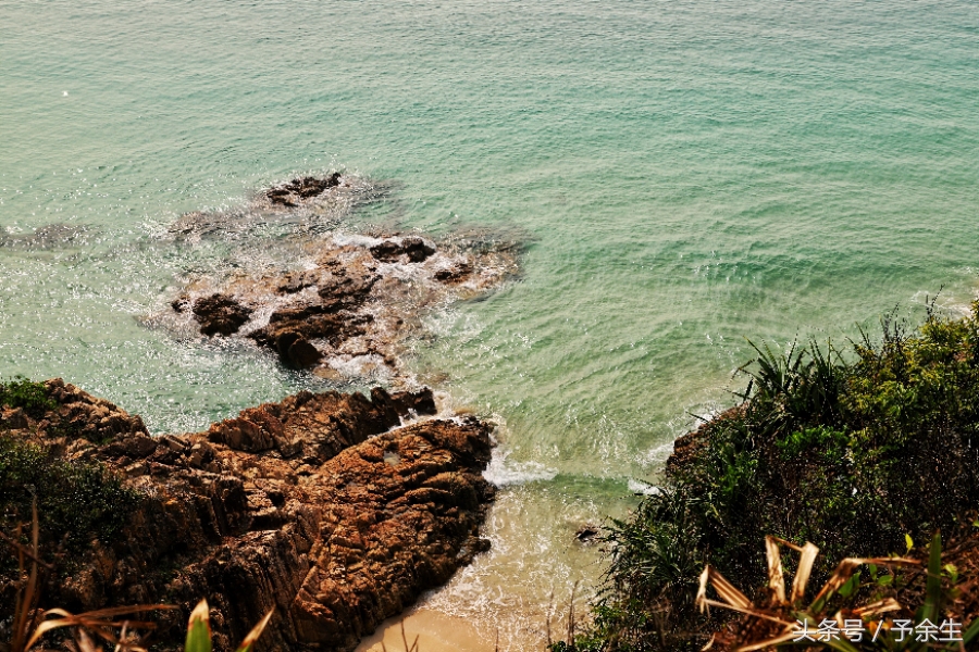 行麦径风景时宿轻沙绵风中