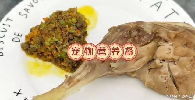 狗狗除了狗粮还可以吃的食物,狗狗除了喂狗粮还可以喂什么